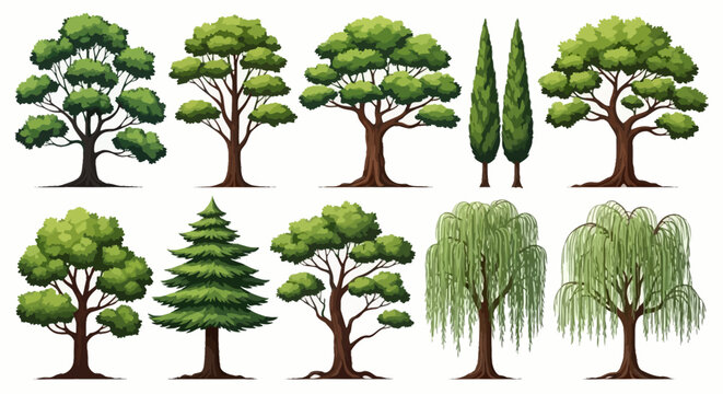 A collection of diverse tree illustrations, showcasing various species with lush green foliage and detailed bark textures.