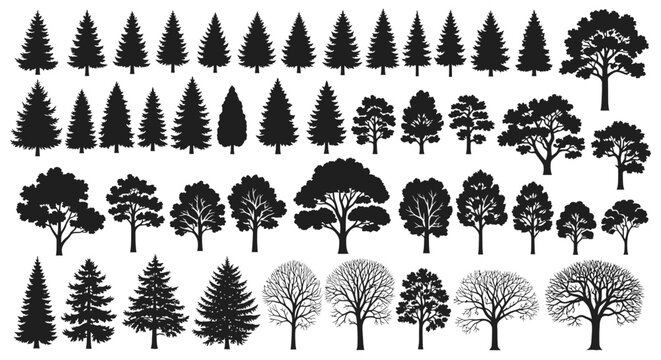 A comprehensive collection of diverse tree silhouettes, showcasing various species and growth stages, ideal for graphic design and illustration purposes.
