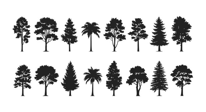 A collection of diverse tree silhouettes, showcasing various species and shapes for graphic design purposes.