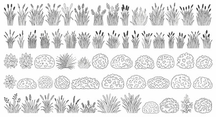 Collection of detailed black and white line drawings of various plants, including grasses, reeds, bushes, and shrubs, suitable for architectural or landscape design. © emaro