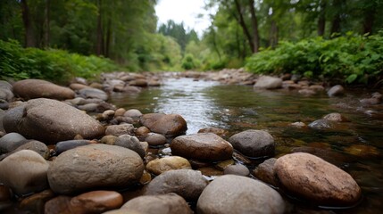 A serene forest stream flows over smooth rounded stones with lush green foliage lining the banks