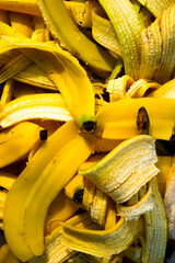 pile of banana peels as a background, top view