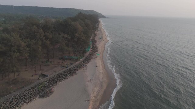 Aerial drone view of Querim Beach, North Goa, revealing a long sandy coastline with scattered rocky outcrops, rows of trees, and the Arabian Sea under soft winter evening light
