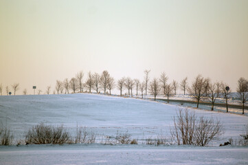 Droga wśród alei drzew na tle różowego zachodzącego słońca,   © Monika