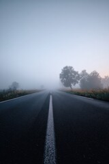 Obraz premium A long asphalt road with a white center line stretches into a thick morning fog. Trees and tall grass line the sides of the empty highway under a pale, misty sky at dawn.