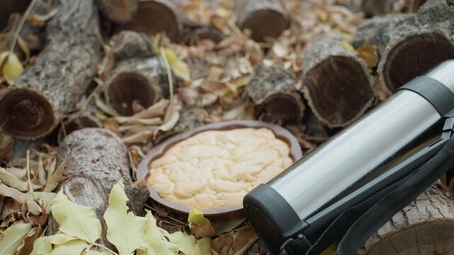 stainless steel thermos on forest floor surrounded by bracket fungus and dry leaves, leather strap draped over weathered log, closeup composition with soft muted tones, autumn picnic mood conveying