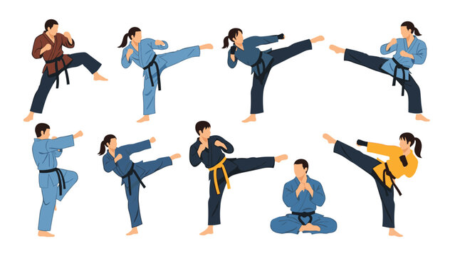 Martial artists in different colored uniforms practicing karate and judo moves including high kicks, punches, and meditative poses.