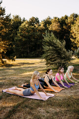 Group of women practicing upward-facing dog yoga pose outdoors on mats in a park. Strength, flexibility, posture and healthy lifestyle concept.