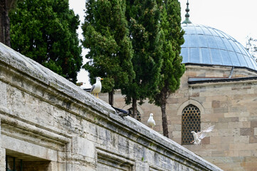 Mosque side view in Istambul