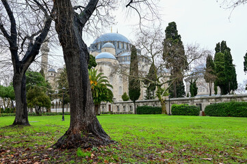 Mosque side view in Istambul