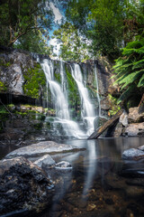 Obraz premium Lilydale Falls, Tasmania