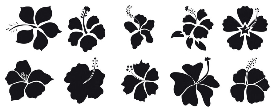 Set of black silhouettes of tropical hibiscus flowers isolated on a white background. Flower black color vector illustration.