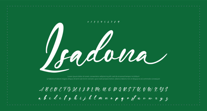 Lettering signature font isolated on grey background. brus style alphabet. Vector logo letters. 