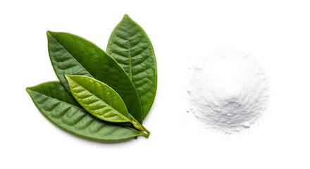 Drugs and Substances Isolated on White Background &ndash; Editorial Cutout Collection