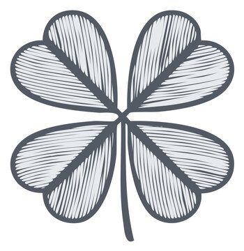 Four leaf clover illustration with detailed lines, good luck symbol, isolated, vintage design element.
