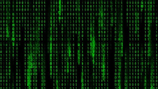 A digital representation of a binary code matrix cascading downwards in green hues