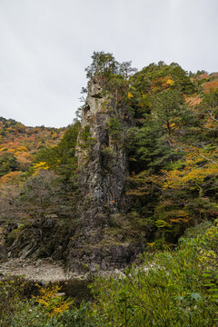 日本　広島県山県郡安芸太田町にある峡谷、三段峡の黒淵の岩壁と紅葉した木々