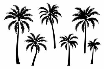 Obraz premium Silhouette of several palm trees against a stark white background