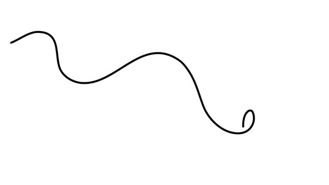 Scribbly stroke one line art animation, hand drawn wavy curly dividing element continuous drawing contour motion. Twiddle swirl separator curve strip with volutes and tendril outline video. 4k