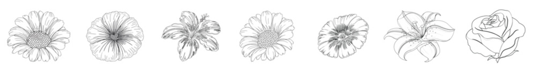 English language school logo course concept. English speak fluent course design. English language school logo design concept of English language school lesson/course logo  Vector illustration © Maham