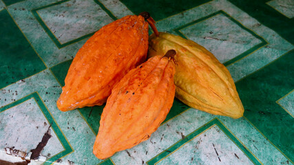 Fresh cacao pods on a worn table surface. Ripe tropical cocoa fruits show natural texture, earthy colors and agricultural character associated with chocolate production.