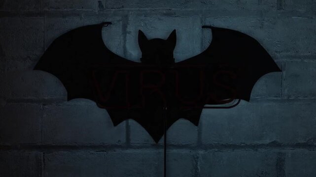 Virus from a bat.