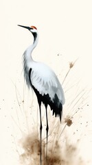 Obraz premium Bird animal white ciconiiformes.