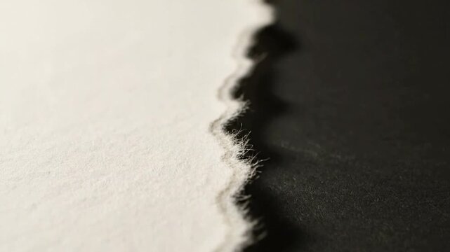 Torn paper edge with rough texture and shadow.