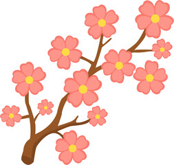 cherry blossom branch