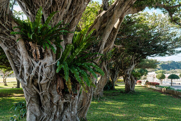 沖縄で見つけた風景。平和への想いを新たに