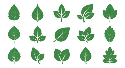 Fototapeta premium Green Leaf Icons Set, Flat Vector Nature and Eco Leaves Collection Isolated on White Background