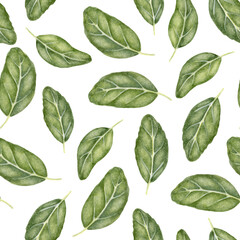 Fototapeta premium Watercolor Basil Leaf Seamless Pattern. Seamless watercolor basil leaf pattern inspired by botanical art and herbal cuisine. Perfect for kitchen decor, packaging, wellness, surface design