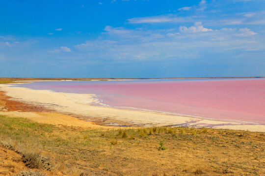View of the pink salty Syvash lake in Kherson region, Ukraine