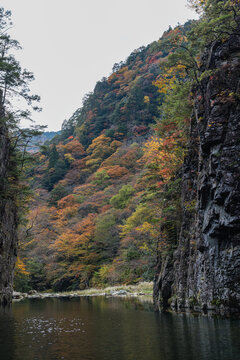 日本　広島県山県郡安芸太田町にある峡谷、三段峡の黒淵の渡し舟から眺める岩壁と紅葉した木々