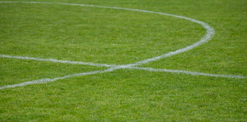 Soccer pitch - grass sports field in a detail shot for background use