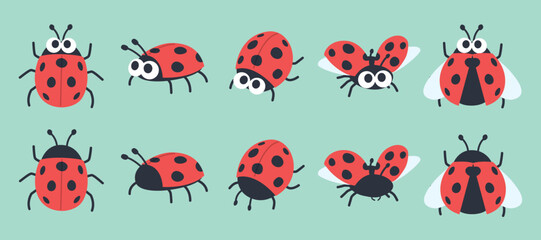 Collection of cute ladybug insects in flat style © Better Studio