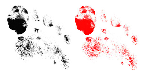 Abstract paint splatter and thumbprint collection on transparent background for artistic grunge design elements and arts