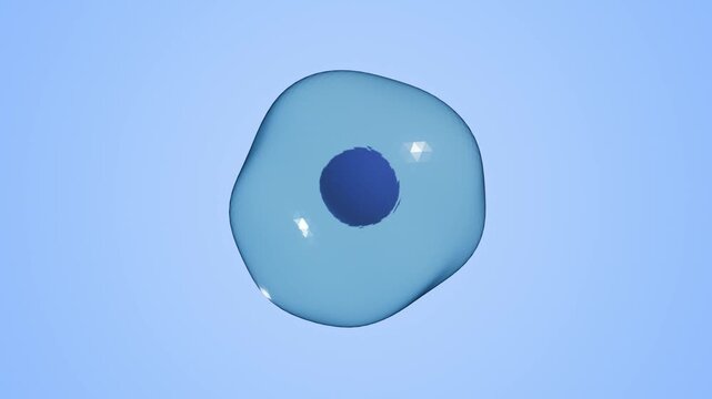 Animation of Human cell or Embryonic stem cell microscope isolated on plain background. 3d rendering
