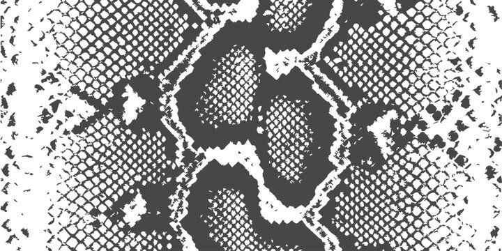 Monochromatic snake skin pattern with detailed scales and a vintage, textured effect, perfect for fashion backgrounds.