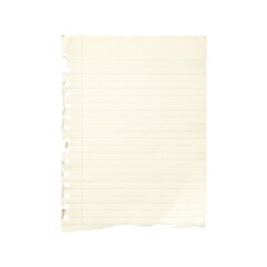 A single sheet of lined notebook paper with perforated holes and a torn bottom edge isolated on transparent background