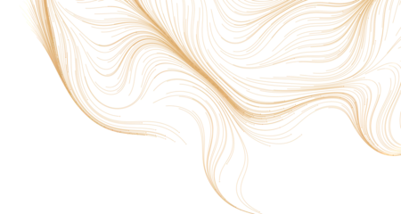 Fotobehang Kunst Elegant abstract design featuring gold lines on a white background, perfect for use as a background or design element. S  © vegefox.com