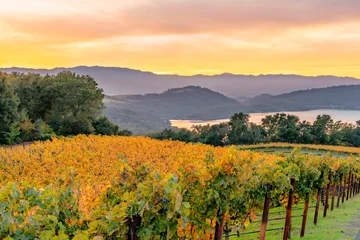 Fototapeten Khaki Aerial view of vineyards in the eastern hills of the Napa Valley AVA overlooking Lake Hennessey reservoir at sunset in Napa County, California, USA.  © Earth Pixel LLC.