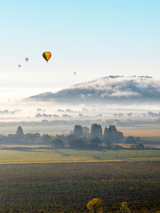 Fog drifts over vineyards with Hot Air Balloons  at sunrise in the Rutherford AVA of Napa Valley, California, USA.