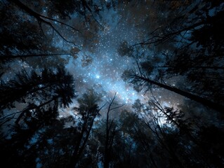 Fototapeta premium Night sky filled with stars viewed from a forest, tall trees silhouetted against the celestial backdrop, creating a serene and tranquil atmosphere in nature