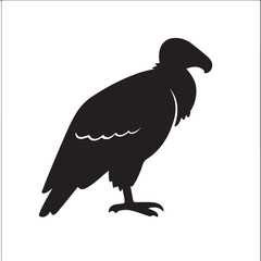 Obraz premium black vulture vector