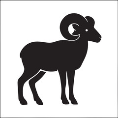 Fototapeta premium animals