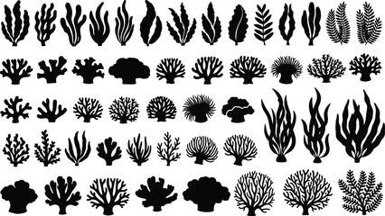 Collection of coral reef and seaweed silhouettes isolated on white background representing underwater marine flora, ocean biodiversity, and aquatic ecosystem design © Jakir