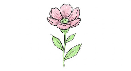 Fototapeta premium pink flower isolated on white background