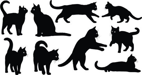 Collection of domestic cat silhouettes in playful and standing poses isolated on white background representing pets, feline animals, and lifestyle concepts © Jakir