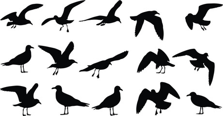 Collection of seagull silhouettes flying and standing isolated on white background representing coastal wildlife, marine birds, ocean nature, and freedom concepts